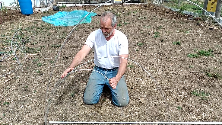 Filet teigne du poireau