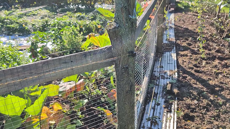Clôture électrique au jardin