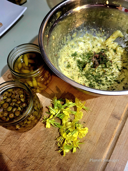 Épice boréale - La Comptonie voyageuse