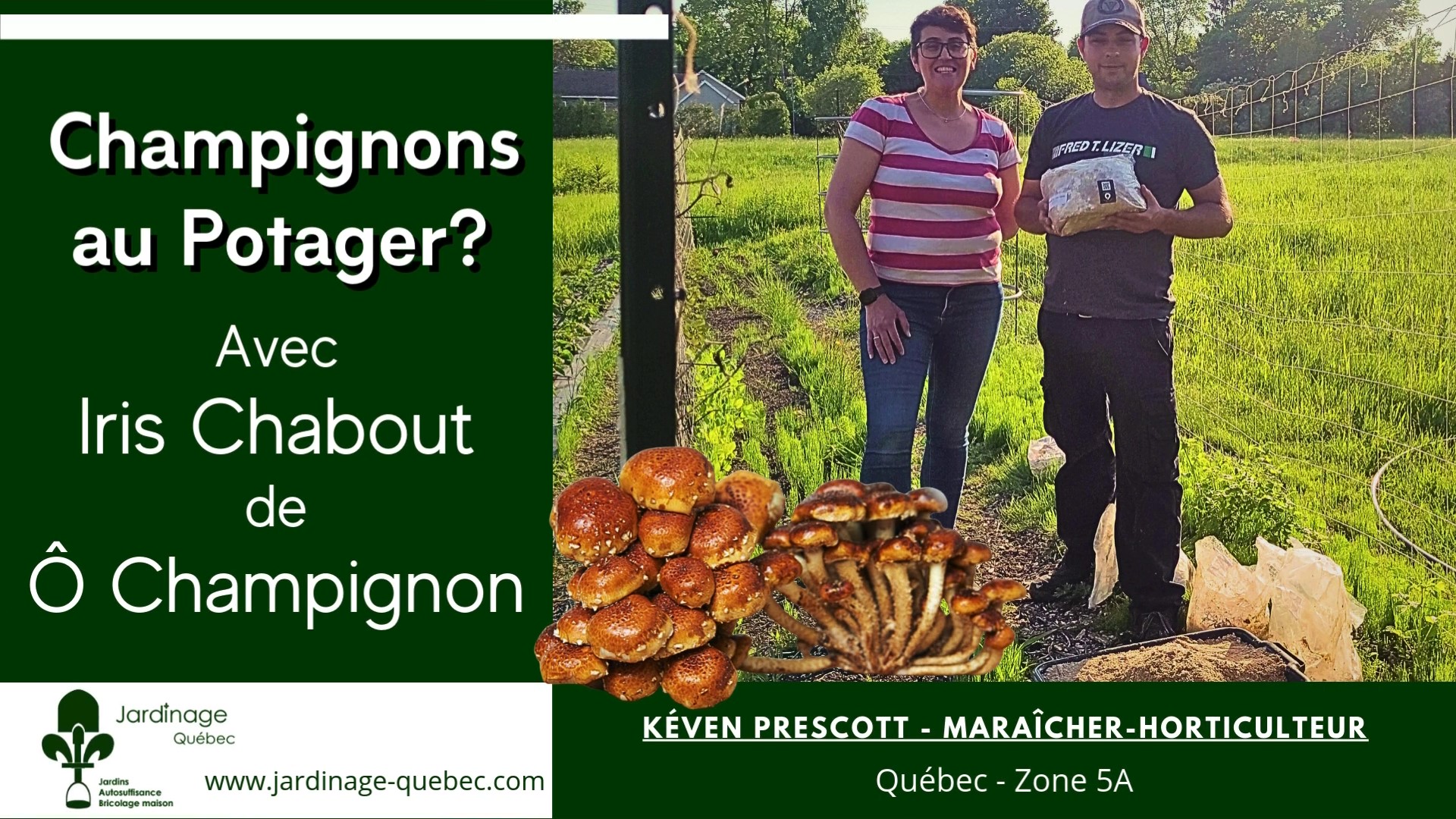 Faire pousser des champignons