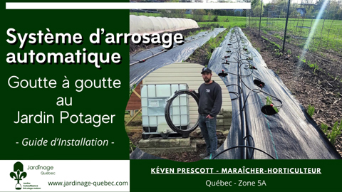 Installation d'un système d'arrosage goutte à goutte au jardin potager
