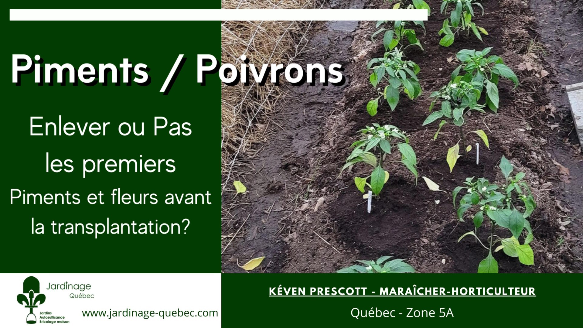 Les poivrons