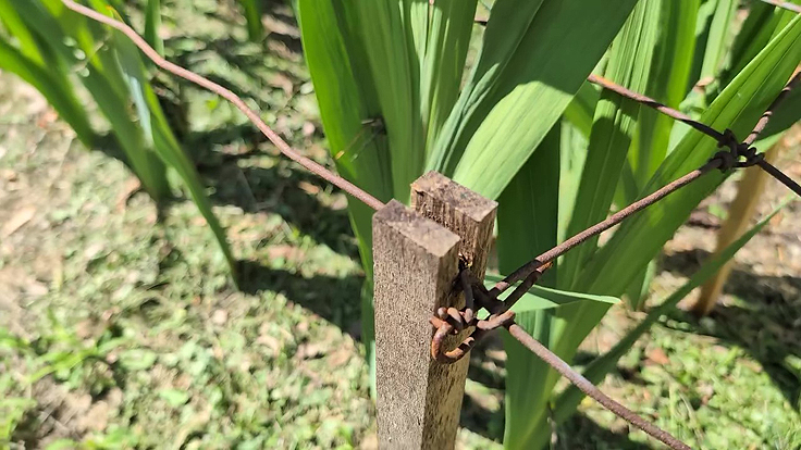 Piquets encochés pour soutenir le grillage