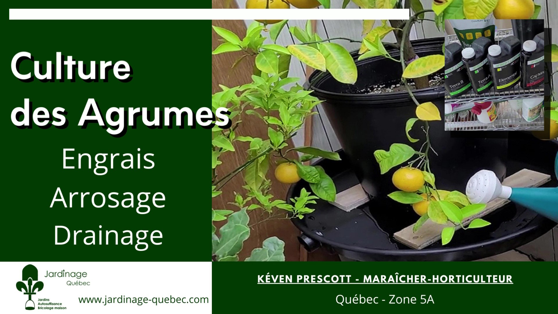 Fertiliser les agrumes