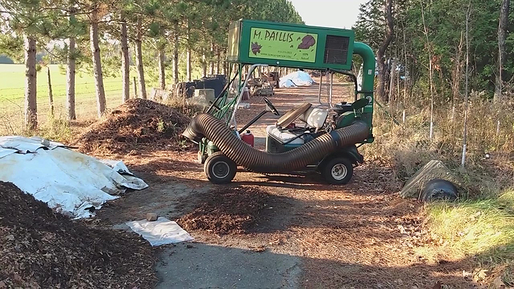 Ramasser les feuilles mortes