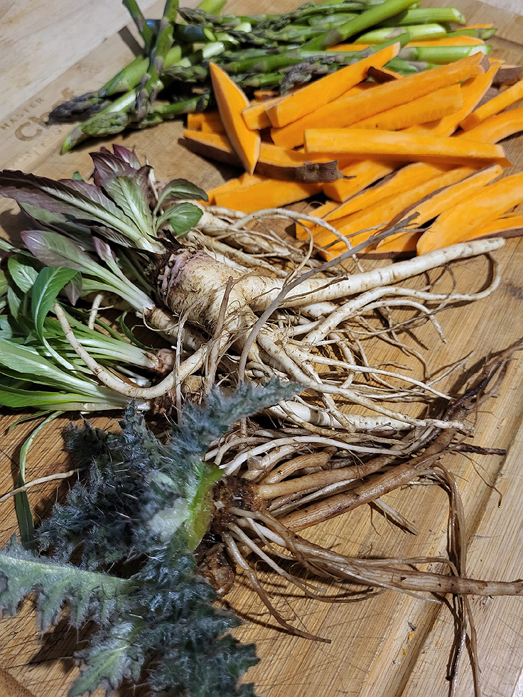 Racines d'Onagre et Chardon Marie