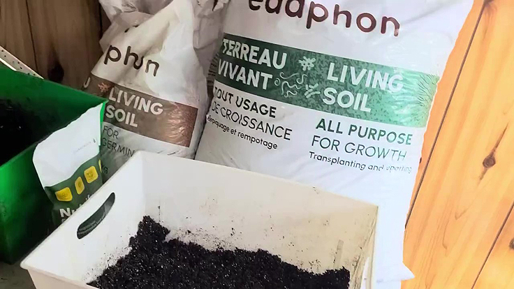 Utilisation d'un terreau professionnel pour les semis