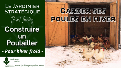 Construire un poulailler d'hiver