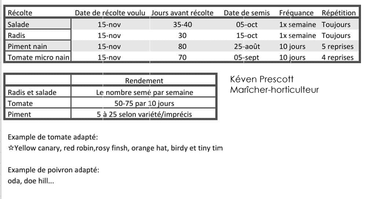 Semis au jardin intérieur