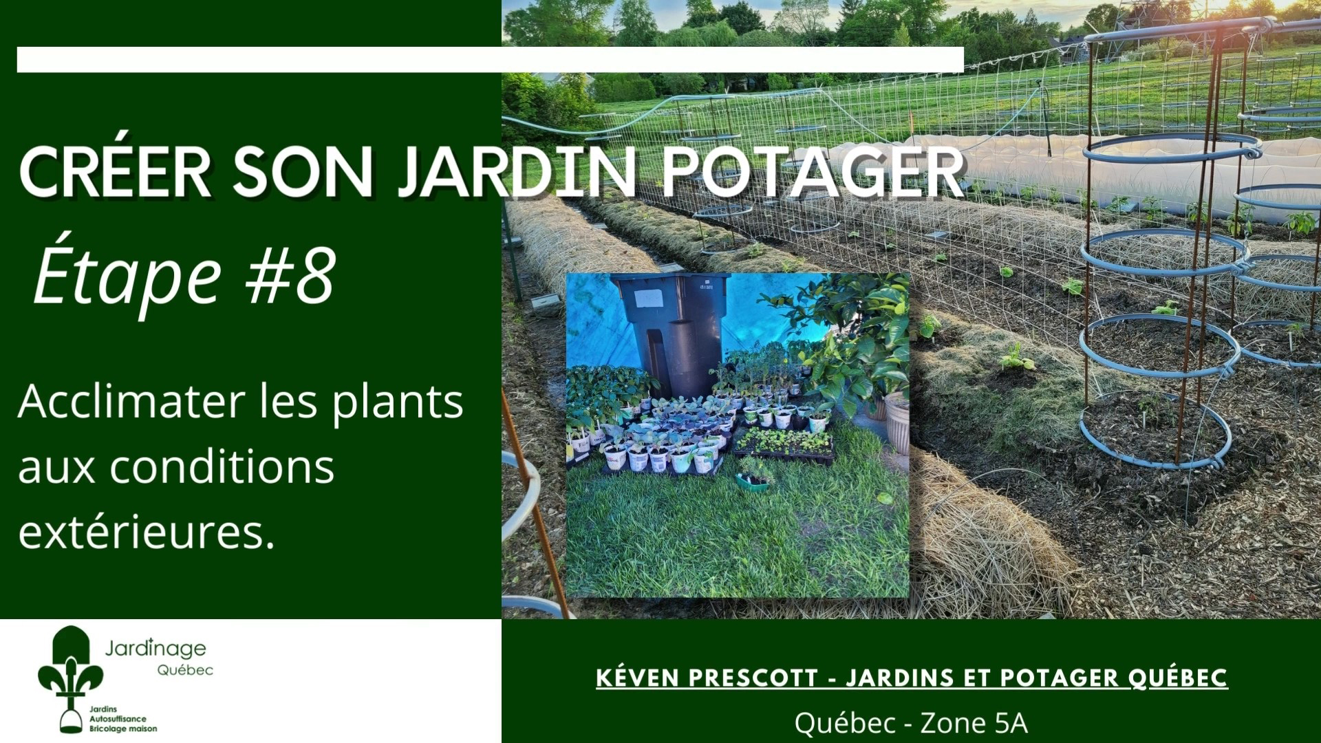 Jardin potager - acclimatation des plants