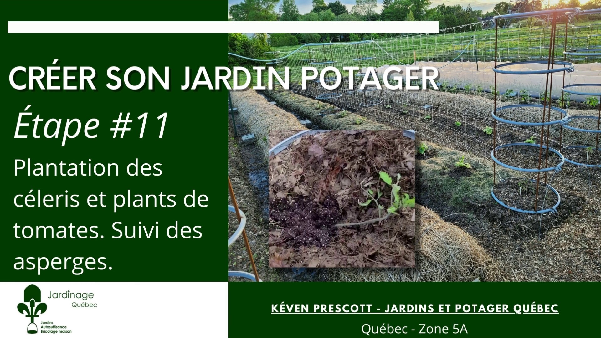 Planter des tomates