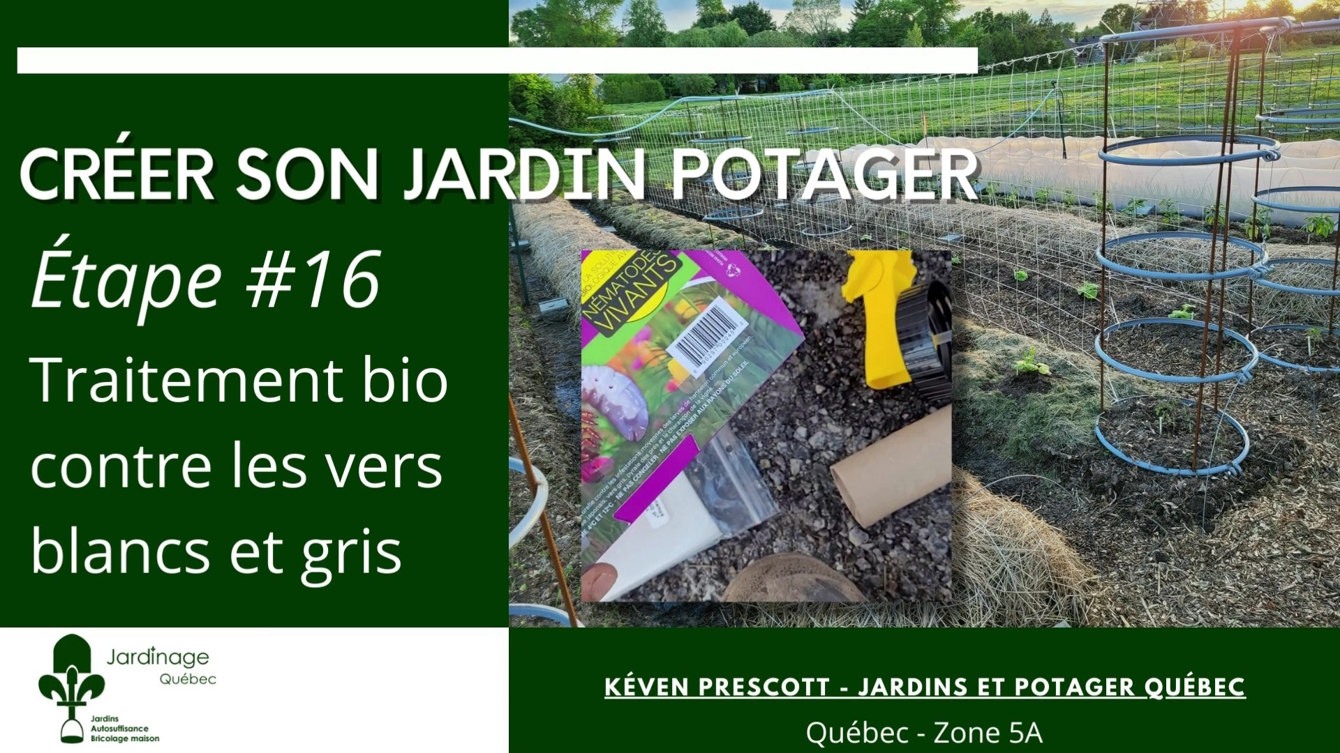 Vers blancs