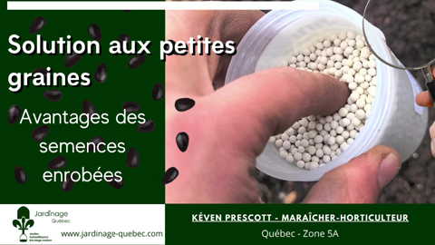 Les semences enrobées solution aux petites graines
