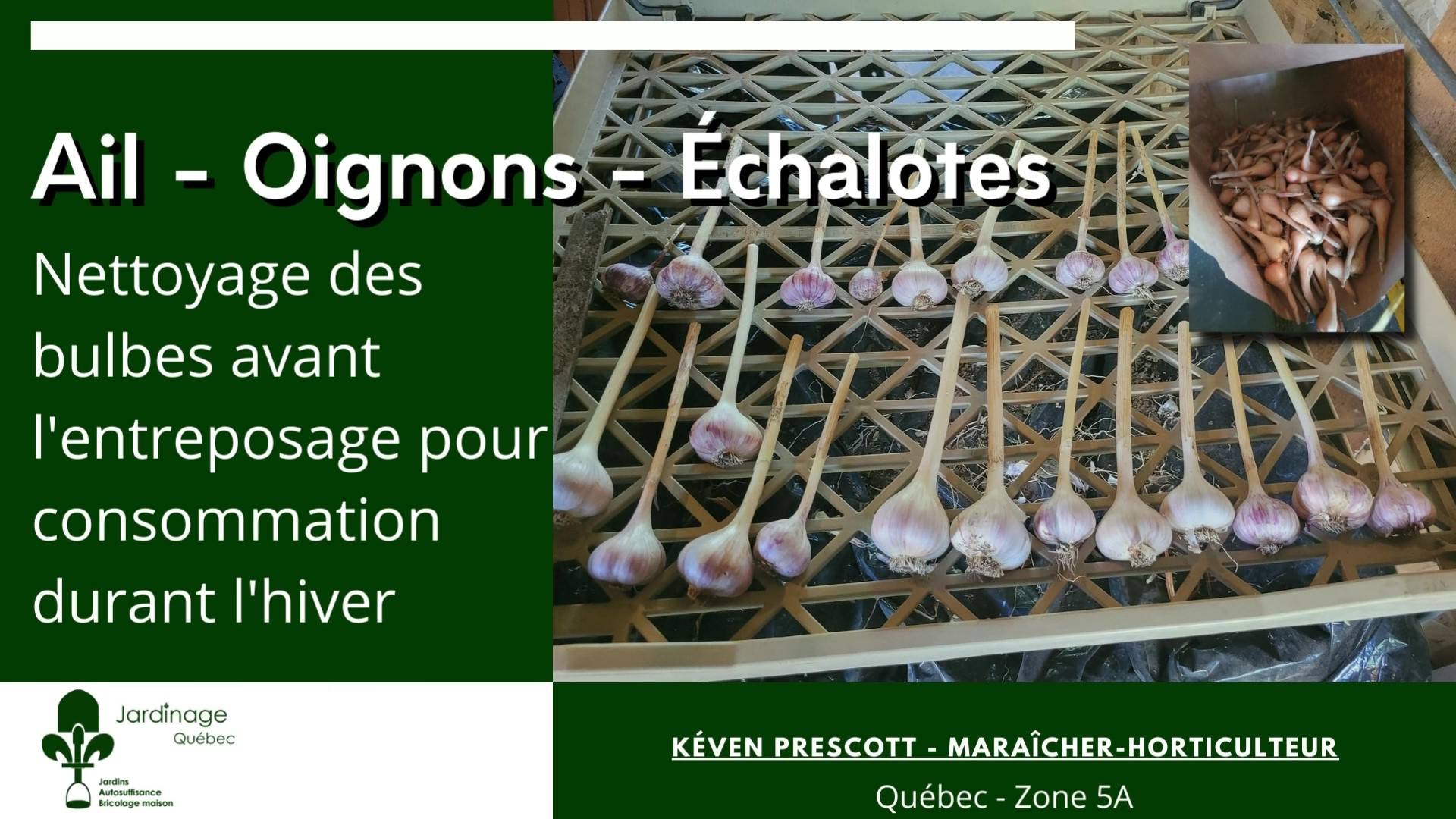 Nettoyer l'ail - nettoyage des bulbes