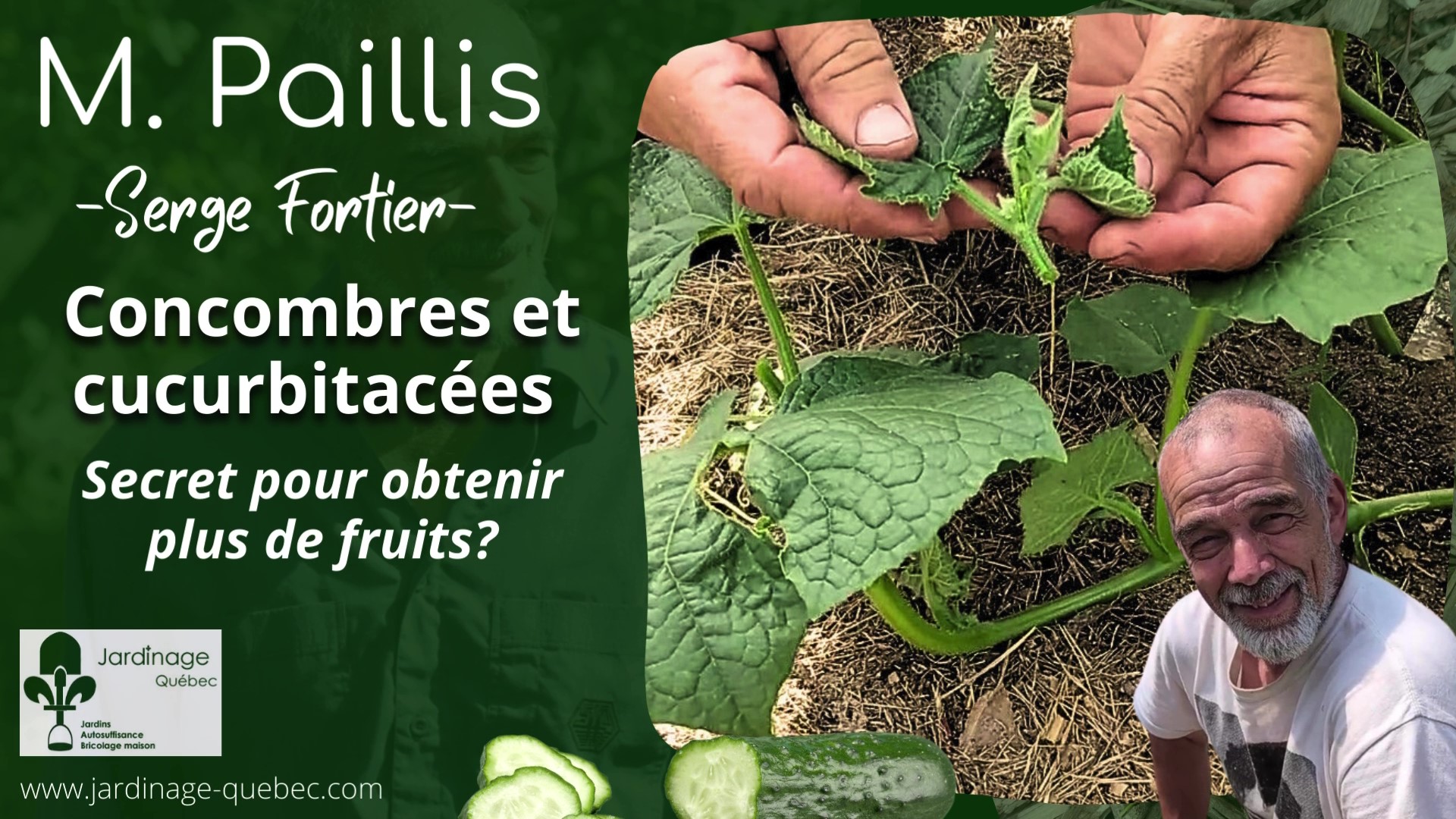 Fleurs femelles concombres