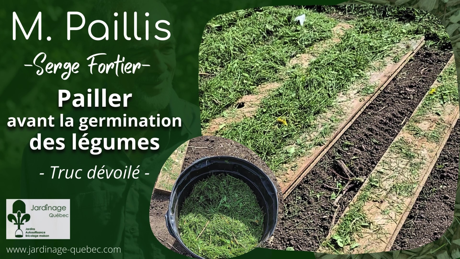 Paillis au jardin potager