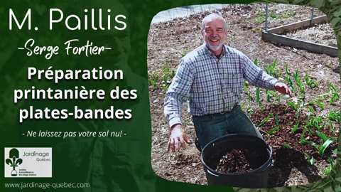 Paillis de feuilles dans les plates-bandes