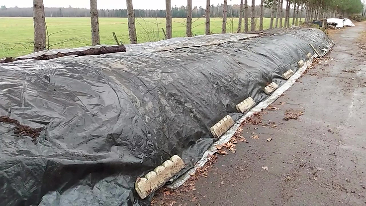 Réserve de paillis de feuilles déchiquetées