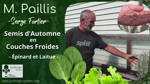 Semis d'automne en couches froides - Laitue et épinard