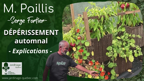 Le dépérissement automnal des plantes annuelles