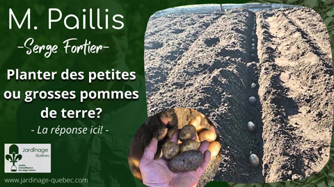 Plantation de pommes de terre - Conseils