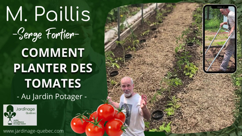 Planter des Tomates - Stratégies de Plantation Optimales