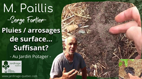 Pluies ou arrosages de surface - Suffisant pour les plantes?
