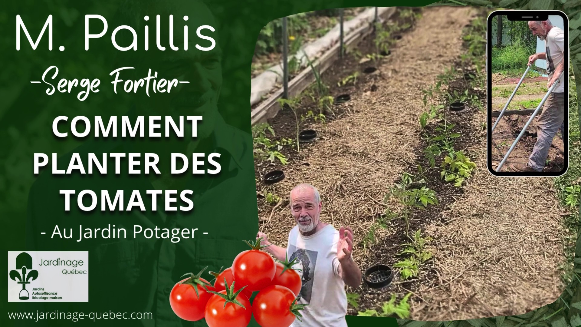 Planter des tomates