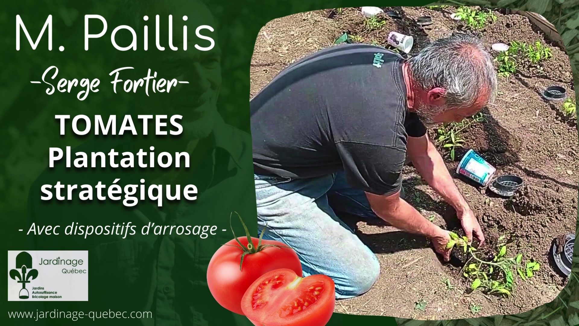 Planter les tomates