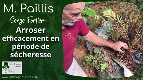 Comment arroser efficacement en période de sécheresse