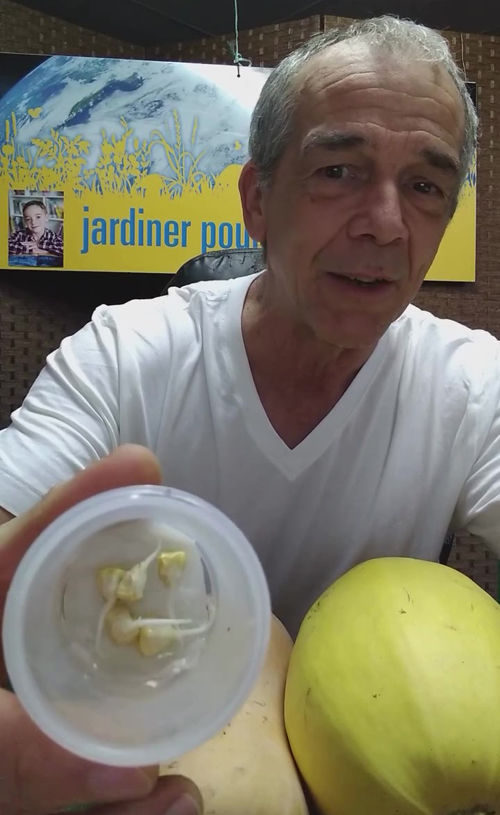 Semences de Serge Fortier