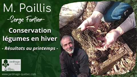 Comment conserver ses légumes racines tout l’hiver sans chambre froide