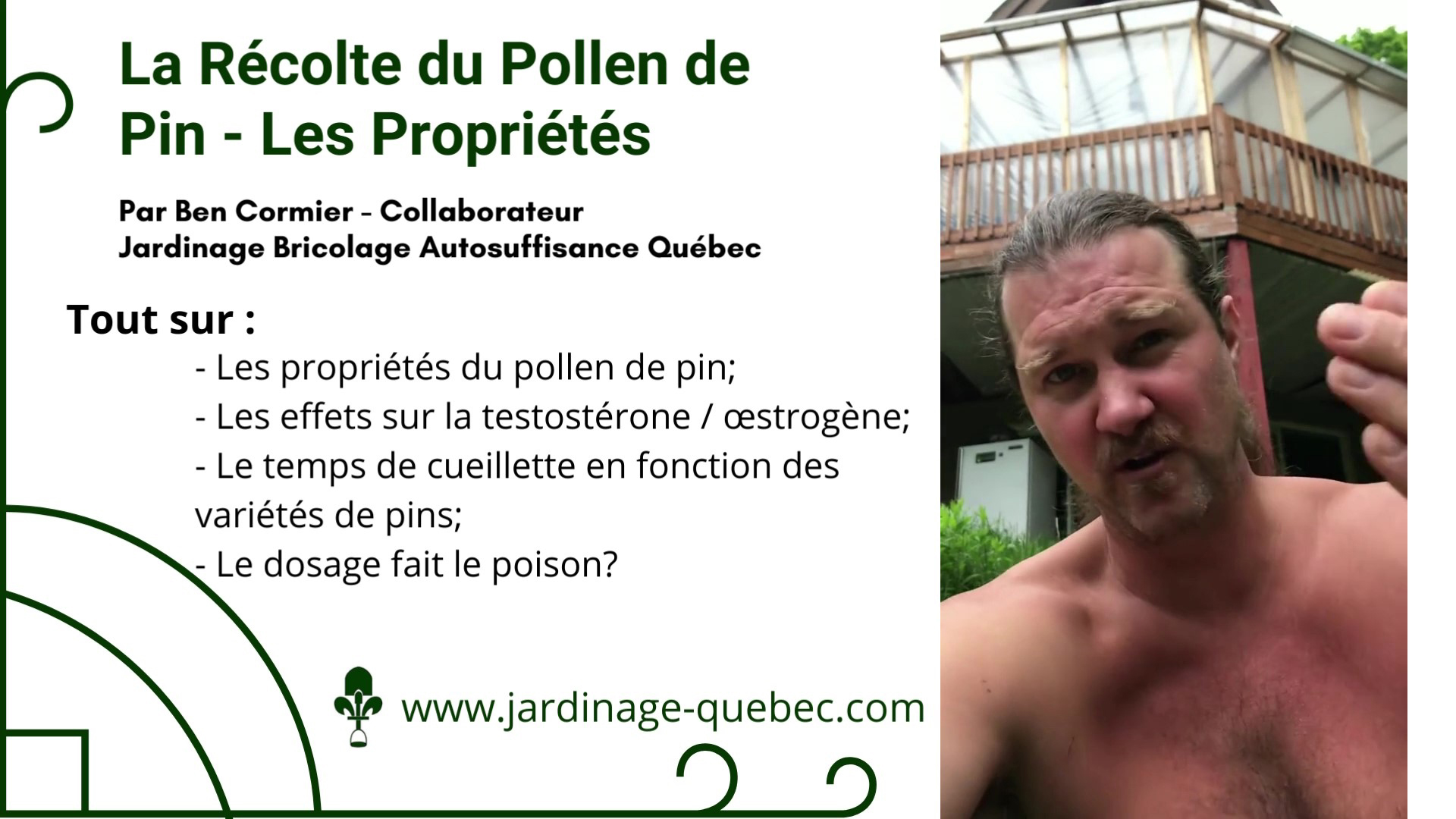Pollen de pin - les propriétés
