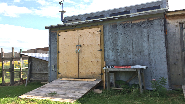 Rampe pour abri de jardin