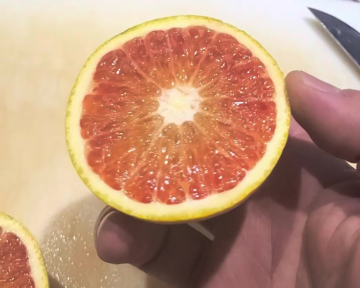 Orange sanguine