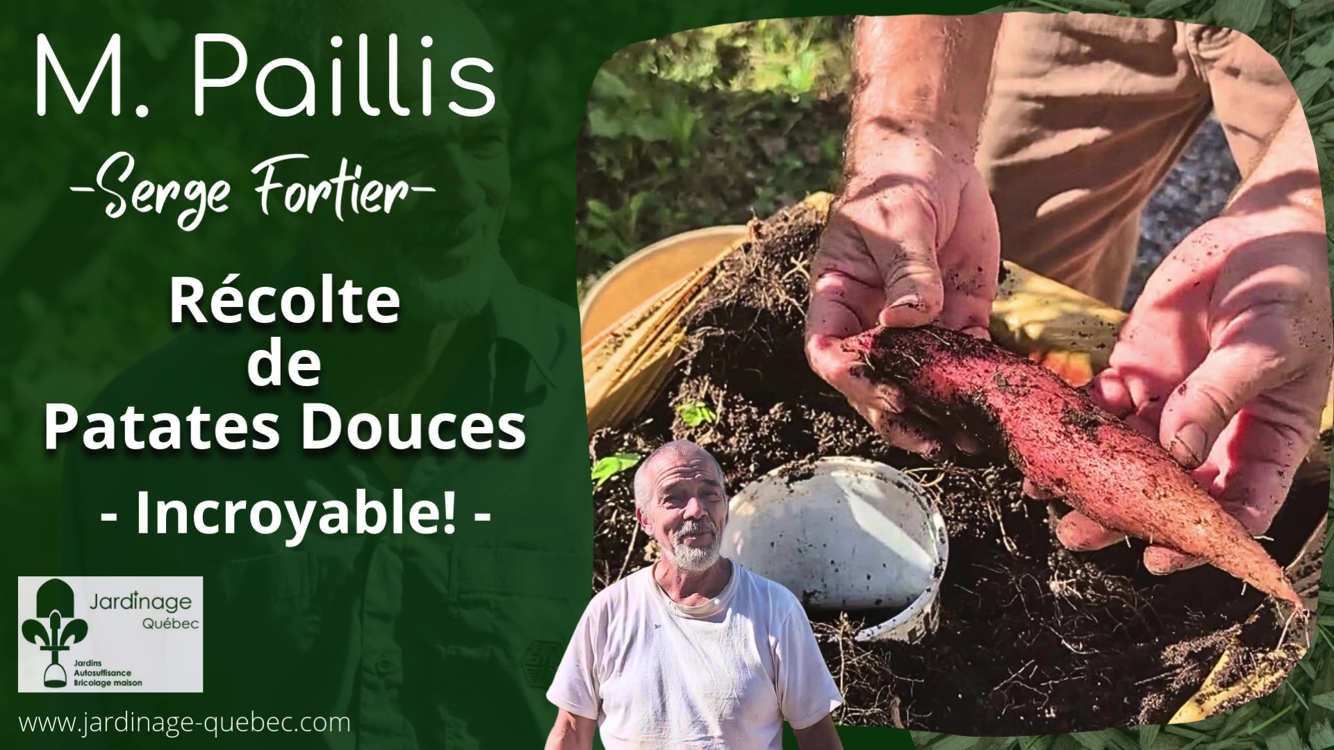Patates douces