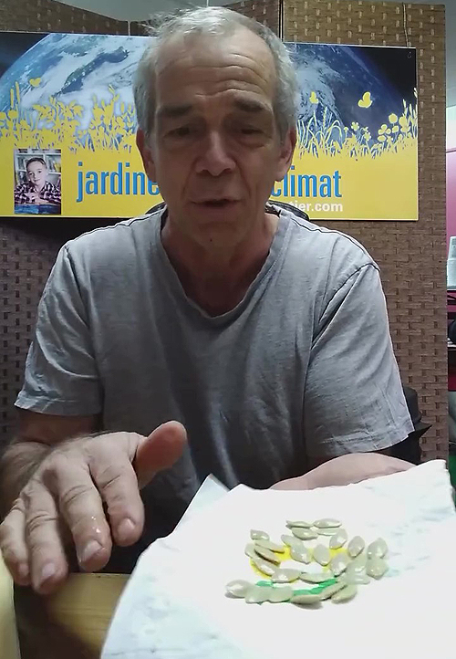 Faire sécher les graines