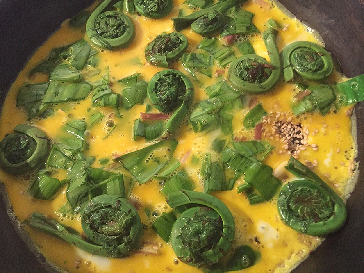 Sortir de la matrice - Autosuffisance alimentaire avec Têtes de violon