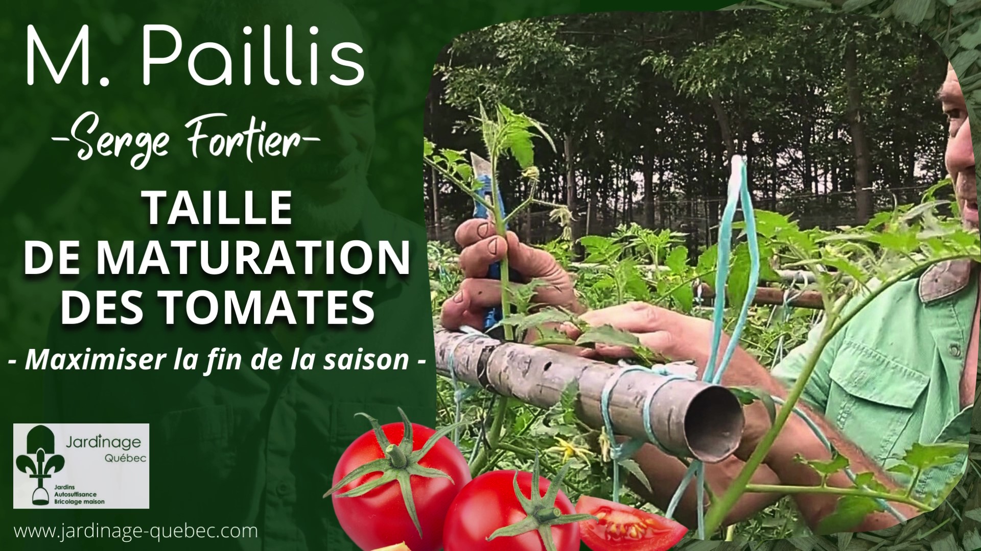 Tailler les tomates