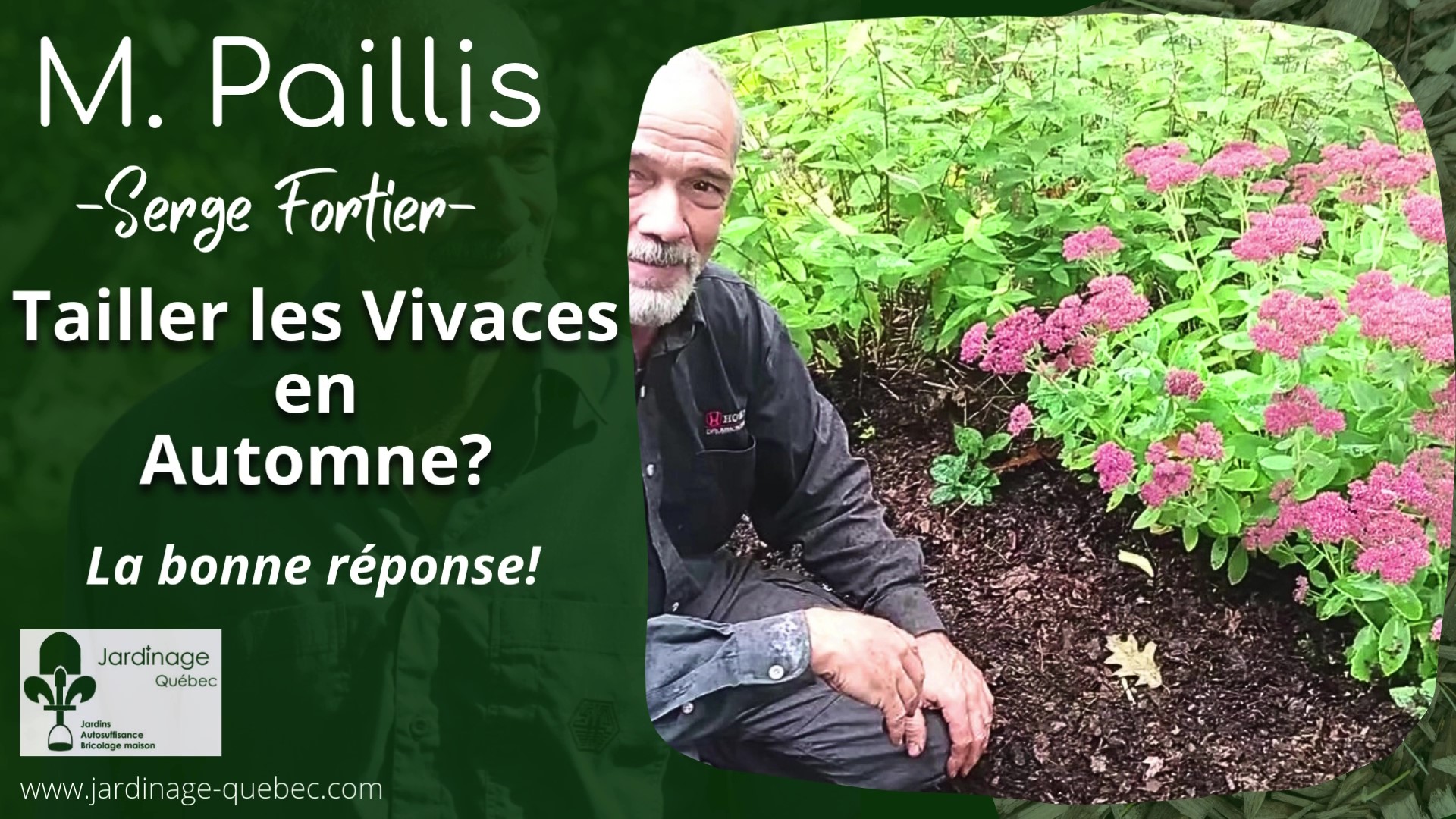 Doit-on tailler les vivaces en automne
