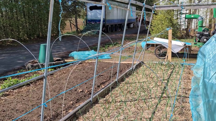 Installation de filets anti-insectes