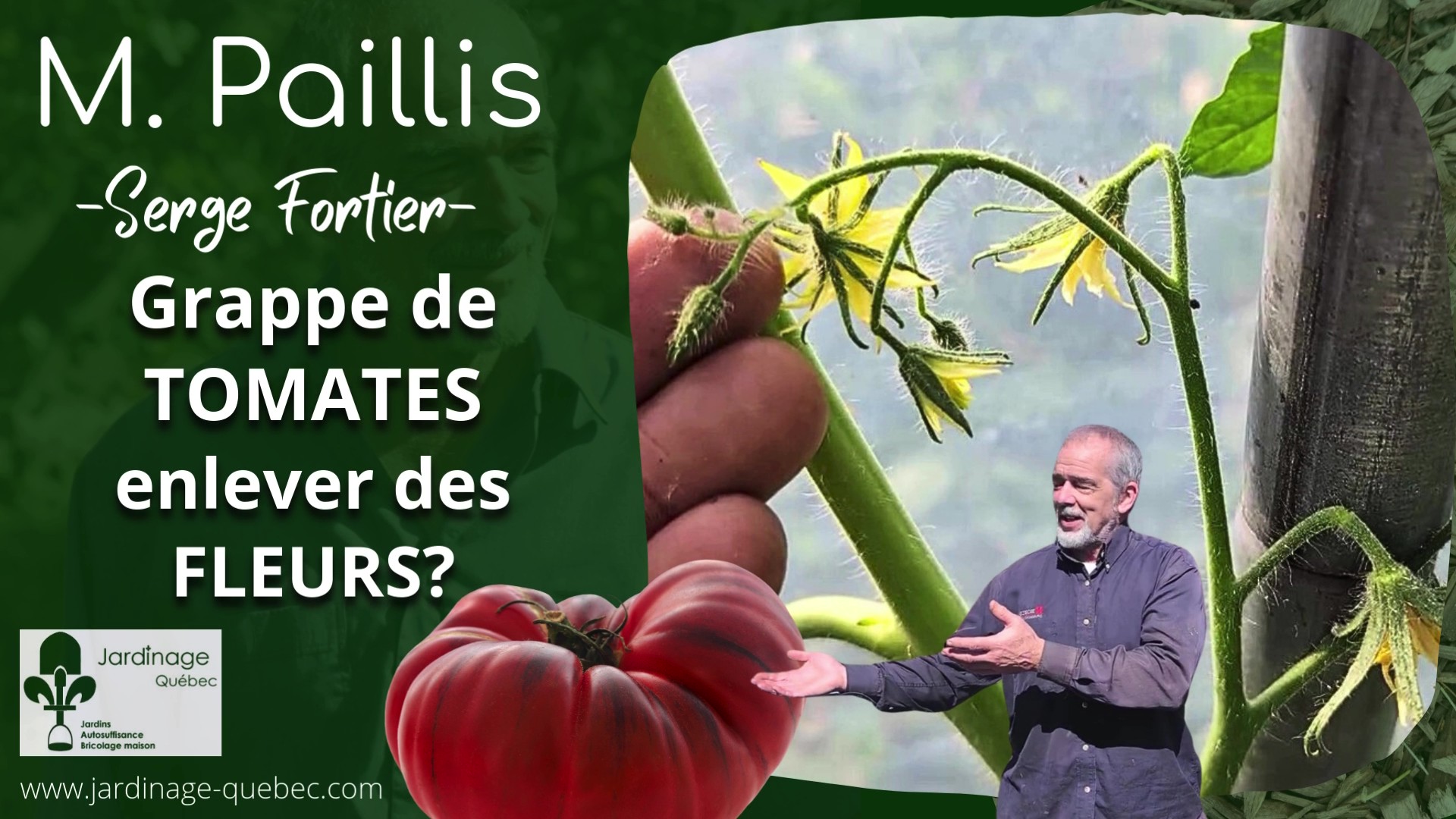 Fleurs de tomates