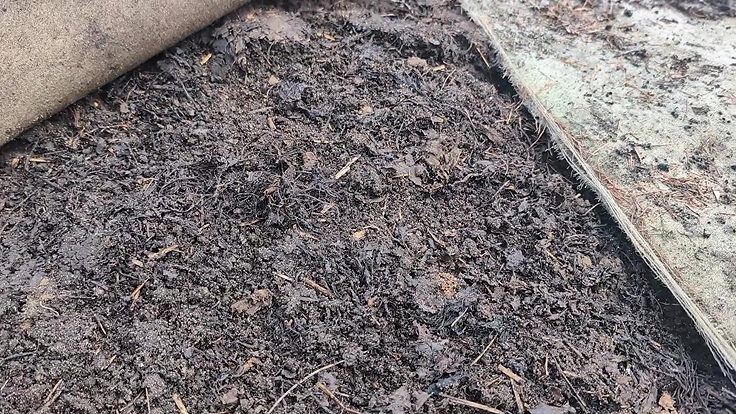 Les plantes aquatiques maintenant compostées sous la toile