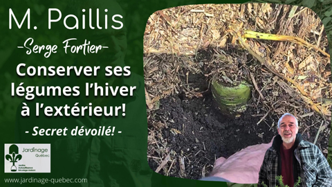 Conservation des légumes racines en hiver à l'extérieur et récolte au printemps