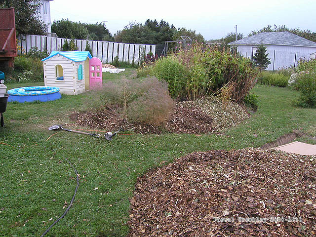USA mulching idea - shredded bark - Using Ramial Chipped Wood - Cardboard boxes Flower Bed - Gardening tips