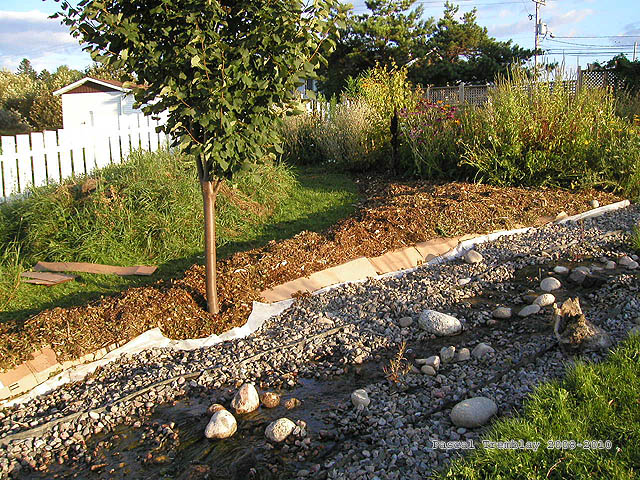 Landscaping Mulch - Rramial chipped wood - Forest Mulch - Fragmentation - woodchips