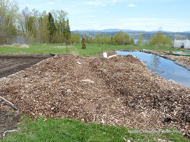 Mulching - garden mulching - cheap garden mulch - Ecological garden idea - Homesteading tips - Permaculture way