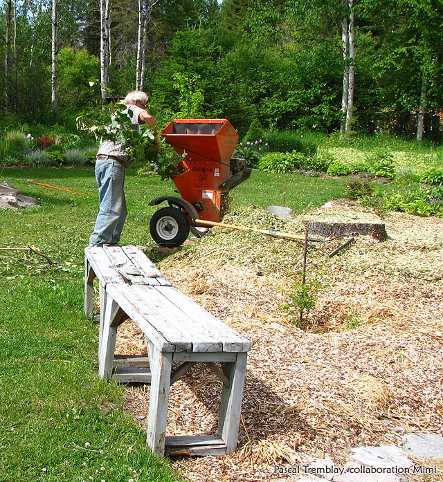 USA Wood Chipper - Chipper shredder - Making ramial chipped wood - Garden mulch - wood chip mulch - Pruning tree