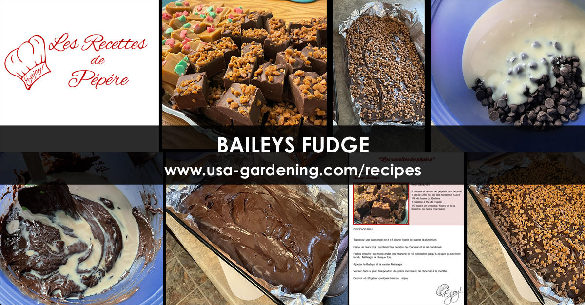 Baileys Fudge recipe