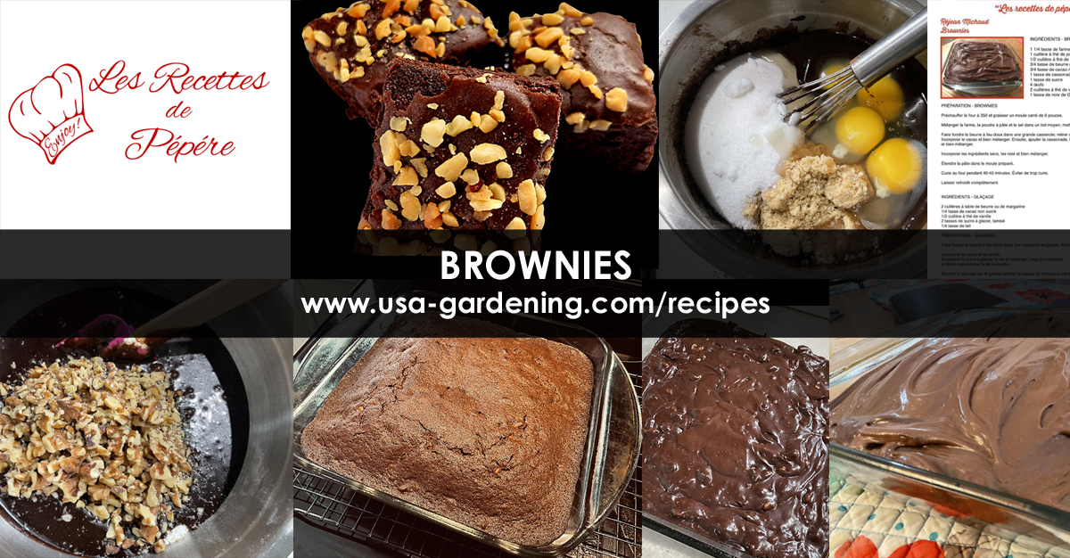 Brownies recipe